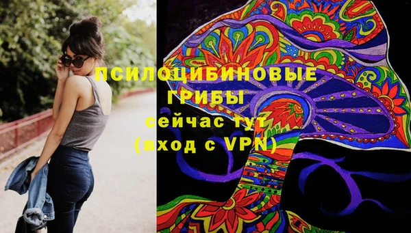 а пвп мука Аркадак