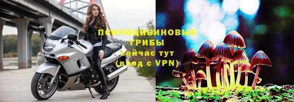 а пвп мука Аркадак