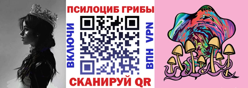 где можно купить наркотик  Калач-на-Дону  Псилоцибиновые грибы ЛСД 